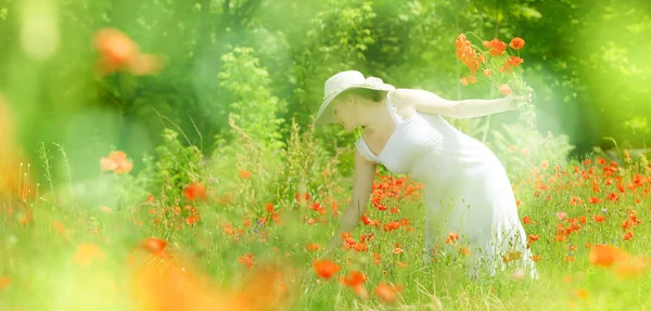 Очаровательная молодая женщина собирает красные цветы на лугу. — стоковое фото