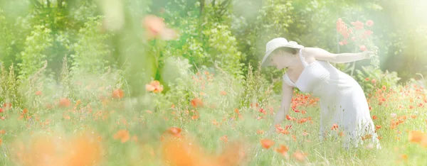 Charming young woman collects red flowers in a meadow.She is dr — Stock Photo, Image