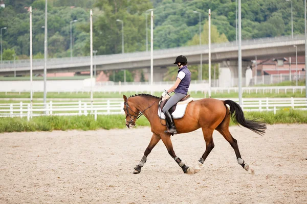 Attraktive junge Frau im Jockey-Anzug reitet Pferd — Stockfoto