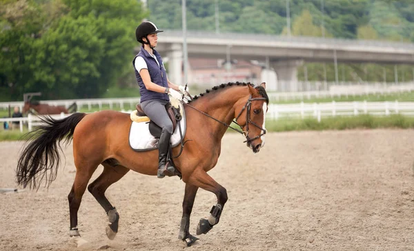 Attraktive junge Frau im Jockey-Anzug reitet Pferd — Stockfoto