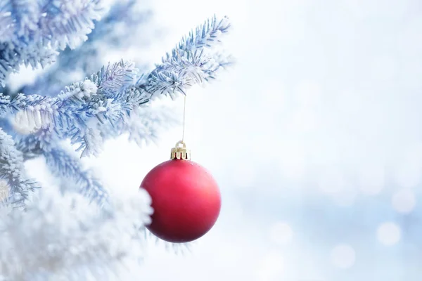 빨간색 크리스마스 볼 눈이 나뭇가지에 걸려 — 스톡 사진
