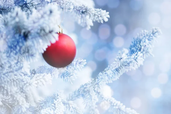 Bola roja de Navidad colgando de una rama de árbol de nieve — Foto de Stock