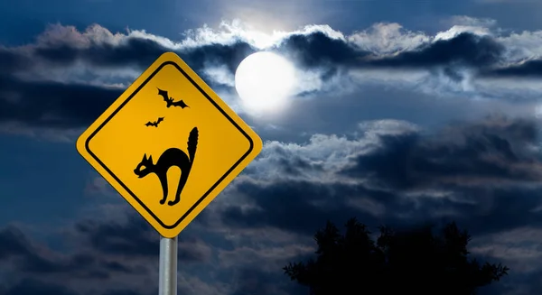 Повний місяць у нічному небі та Хеллоуїн дороги знак - кішка, кажанів — стокове фото