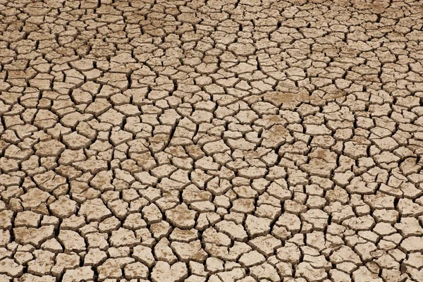 Tierras secas que sufren de sequía — Foto de Stock