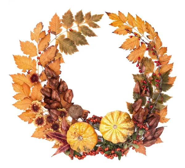 Autumn Wreath of Leaves, Pumpkins, Flowers and Seeds on a White — Stok Foto