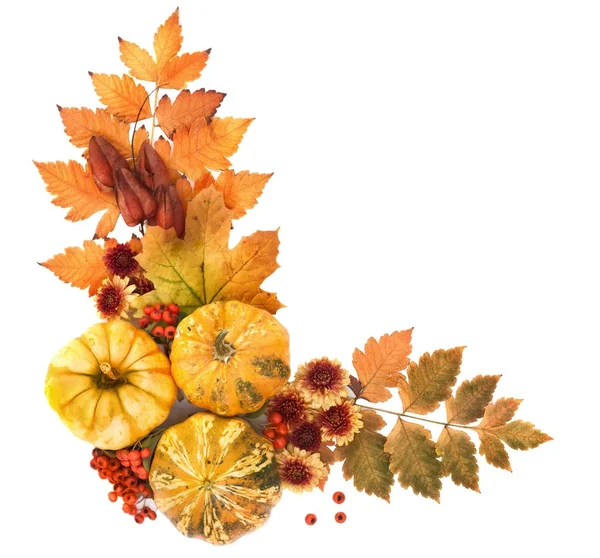 Na podzim pozadí listů, plodů, květin a dýně — Stock fotografie