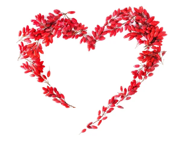 Σχήμα καρδιάς από κόκκινα φρούτα του οξυάκανθα — Φωτογραφία Αρχείου