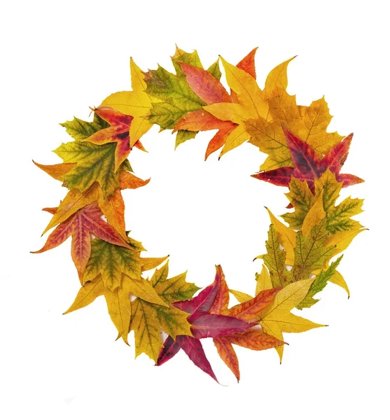 Podzimní věnec z červené, žluté a zelené javorové listy — Stock fotografie