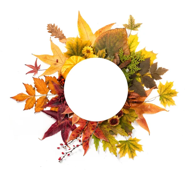 Corona de otoño de hojas, bayas, flores y calabazas — Foto de Stock