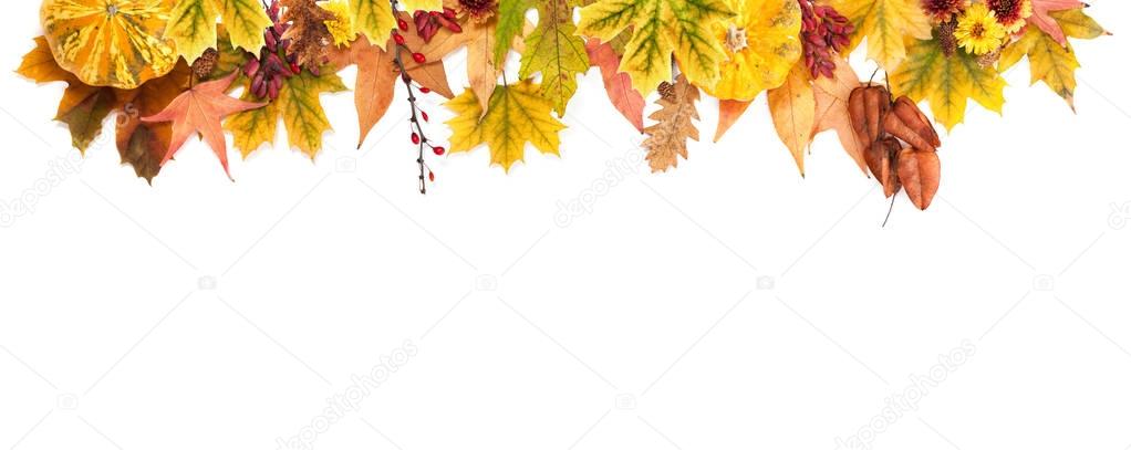 Autumn Background of Leaves, Berries, Flowers and Pumpkins