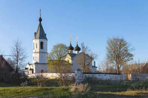Chiesa dei Santi Pietro e Paolo, regione di Pskov — Foto Stock