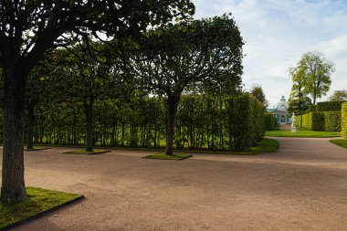 Bahçenin ara sokaklarında. Puşkin 'deki Autumn Park' ta. Saint-Petersburg 'da. Günaydın..