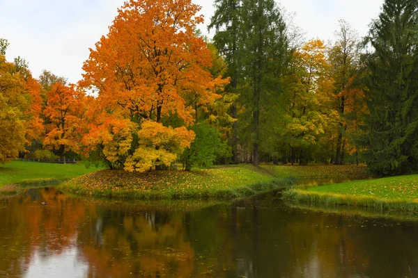 Otoño en el bosque. Camina por el parque. San Petersburgo . —  Fotos de Stock