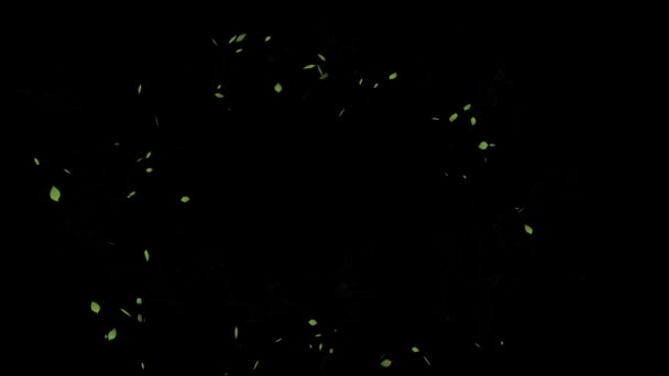 Spring leaf fall on a black background. — Stockvideo