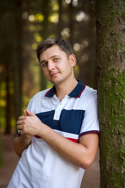 Мужчина стоит в лесу на дереве — стоковое фото