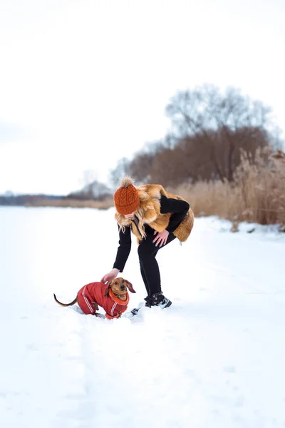 Piękna dziewczyna w kamizelka futro gra z psem w śniegu — Zdjęcie stockowe