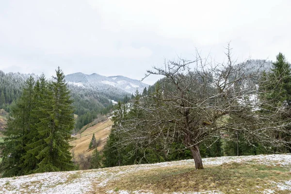 Montaña campo pequeñas casas en el pueblo hermoso natur — Foto de Stock