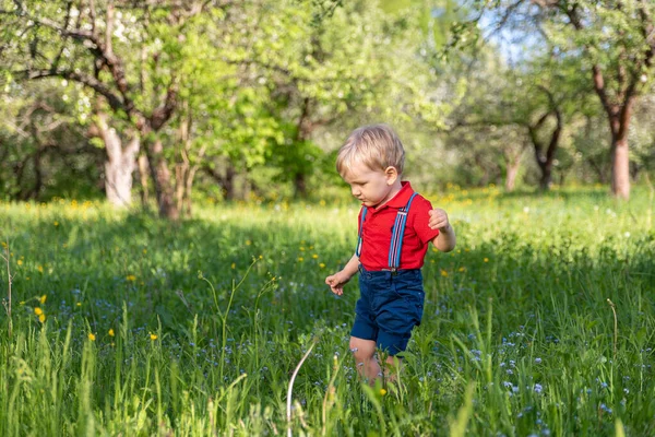 Kluger Kleiner Junge Spaziert Park Zwischen Den Bäumen — Stockfoto