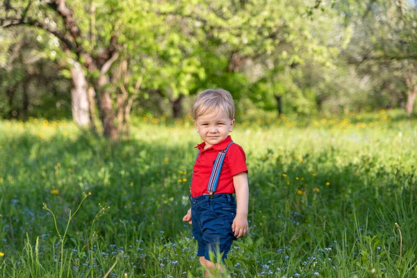 Kluger Kleiner Junge Spaziert Park Zwischen Den Bäumen — Stockfoto