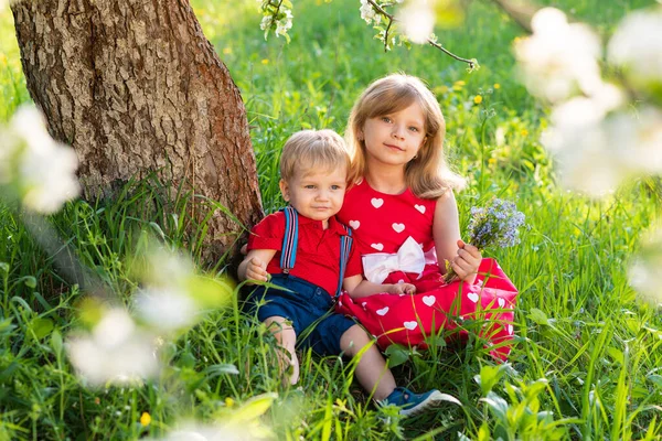 Hermano Hermana Están Sentados Parque Debajo Árbol Entre Las Flores — Foto de Stock