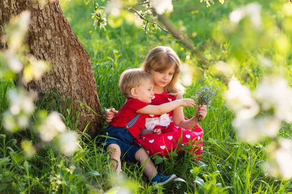 Fratello Sorella Sono Seduti Parco Sotto Albero Tra Fiori Sorridente — Foto Stock