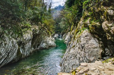 Dağ nehri sularını denize taşır.