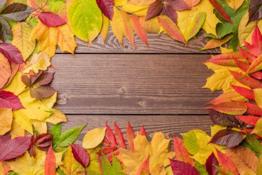 sonbahar yaprakları arka plan