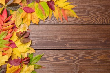 sonbahar yaprakları arka plan