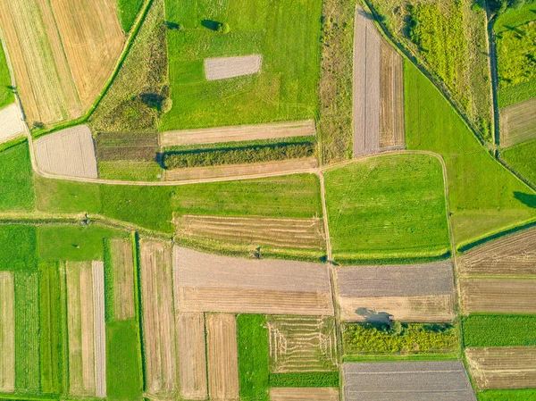 Luchtfoto Van Landbouwgebieden — Stockfoto