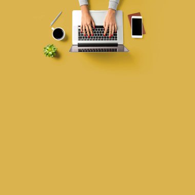 Dizüstü bilgisayarda çalışan kadın. İş geçmişi