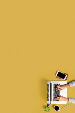 Dizüstü bilgisayarda çalışan kadın. İş geçmişi