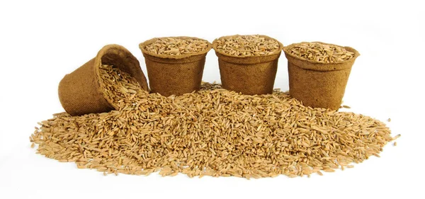 Dört turba tencere yulaf tohumu ile dolu