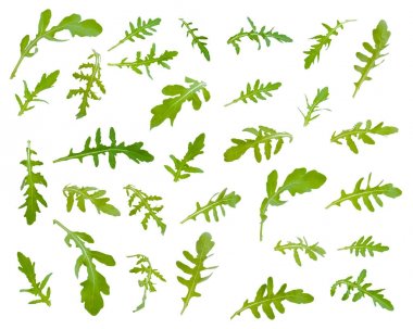 Taze yeşil roka farklı açılarla beyaz backgrou bırakır.