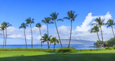 Kihei, Maui, Hawaii çevre Wailea Beach