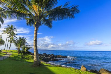 Kihei, Maui, Hawaii çevre Wailea Beach