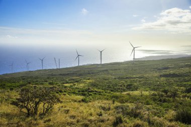 Haleakala arka yol Maui, Hawaii