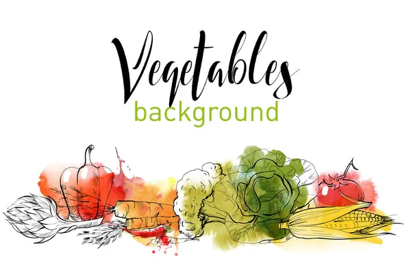 Akvarell Vektor Uppsättning Handritade Grönsaker — Stock vektor