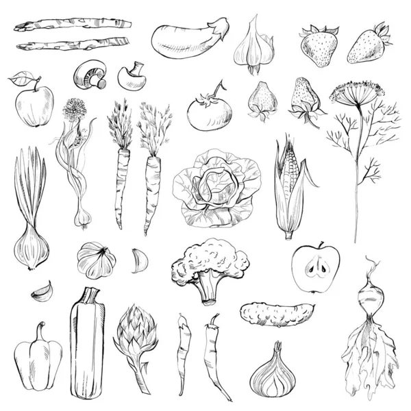 Conjunto Vetorial Aquarela Legumes Desenhados Mão — Vetor de Stock