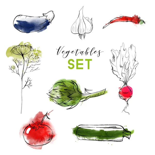 Akvarell Vektor Uppsättning Handritade Grönsaker — Stock vektor