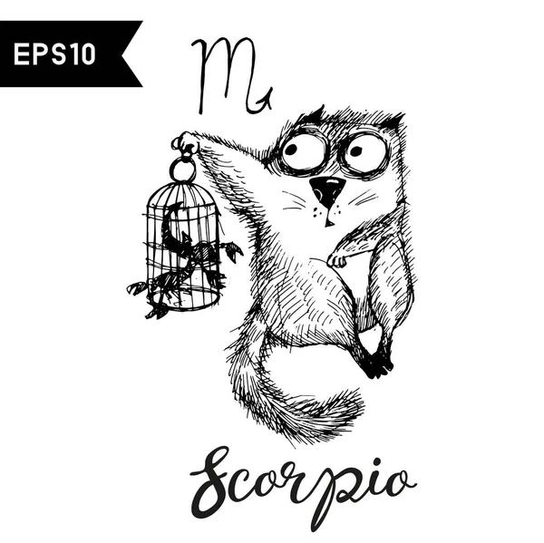 Scorpio Cat Zodiac Funny Cat Sketch Illustration — Stock Vector