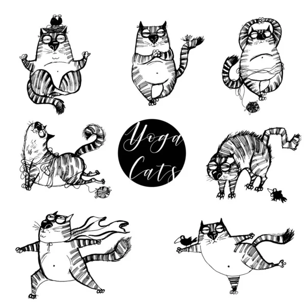 Jóga Idő Jóga Macskákkal Set Sablon Illusztráció — Stock Vector