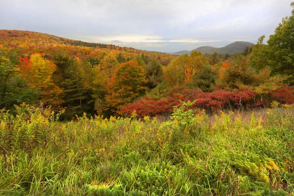 Podzim na Adirondack Mountains — Stock fotografie
