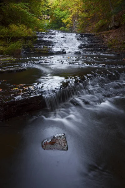 Erken sabah Myosotis Falls