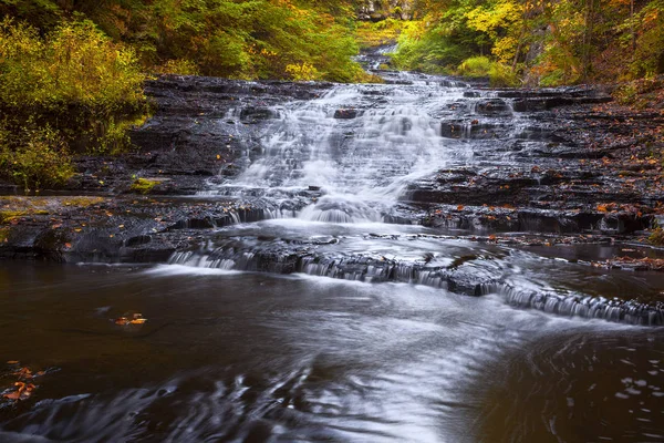 Alt Myosotis Falls