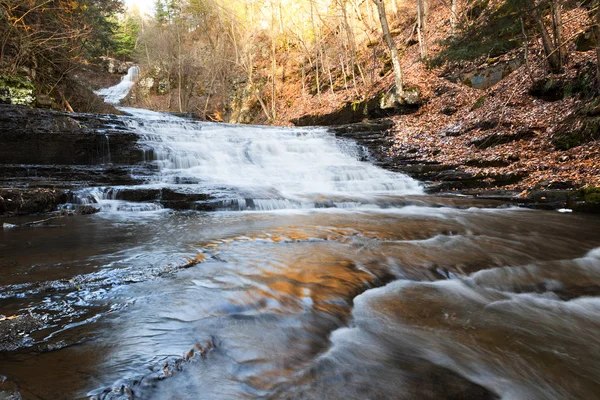 Fondo de Myosotis Falls —  Fotos de Stock