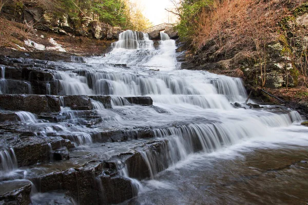 Myosotis Falls Ny