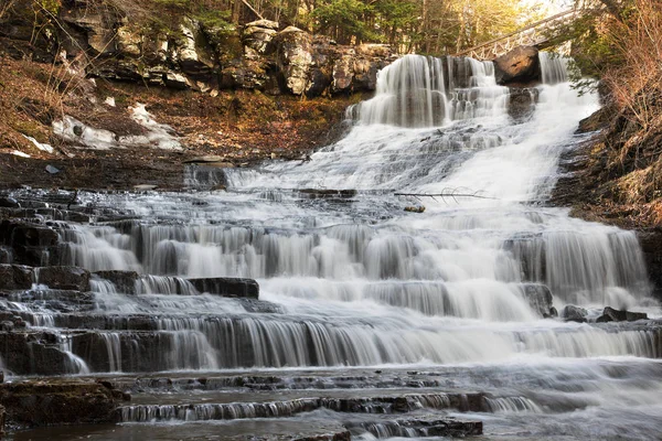 Geniş görüş Myosotis Falls