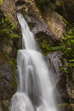 Bash Bish kitle içinde yer alan Falls yan görünüm