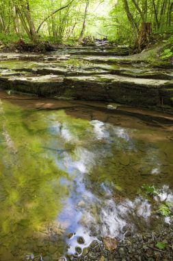 Beecher Creek Falls yan görünüm