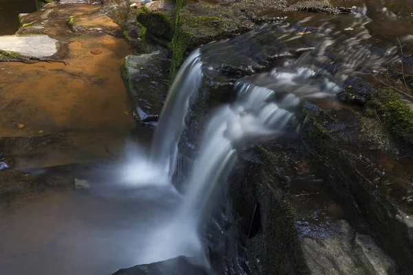 Yan cascade adlı Bozenkill koru 